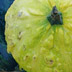 Festively pretty yet pointless gourds and mini pumpkins.